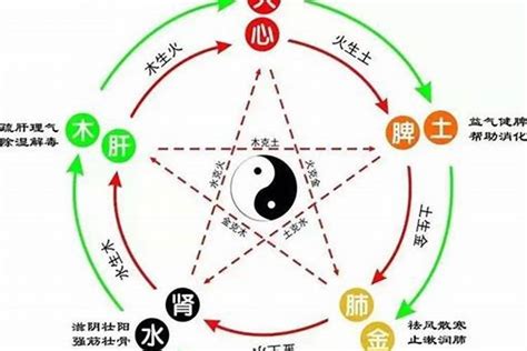 缺水五行|八字缺水的人有何特征